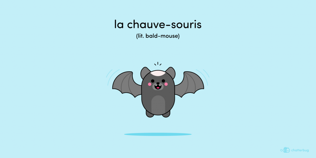 101 Funny French Words, Phrases, Sayings & Facts You'll Love